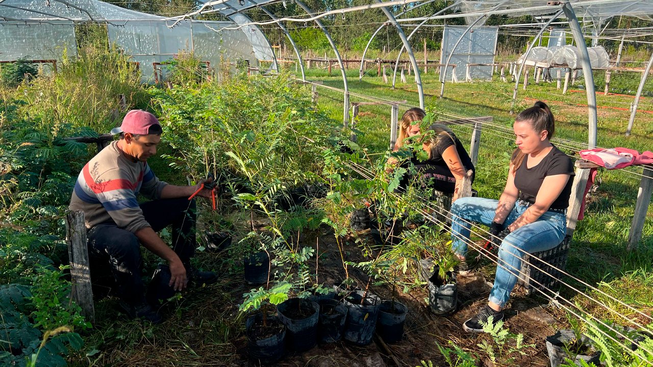 Voluntariados en el Vivero - Reserva El Potrero