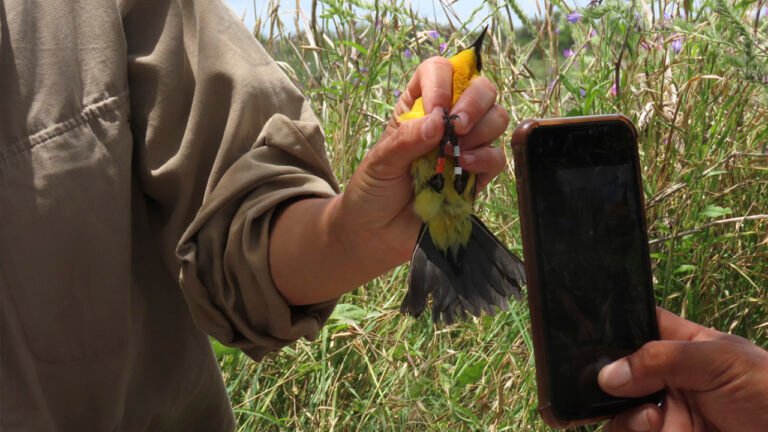 Un reconocimiento al trabajo en equipo